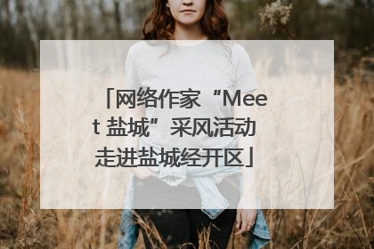网络作家“Meet 盐城”采风活动走进盐城经开区