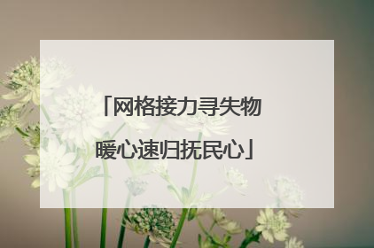 网格接力寻失物 暖心速归抚民心