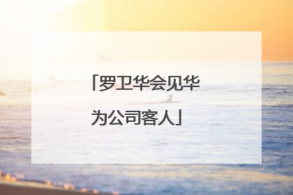 罗卫华会见华为公司客人