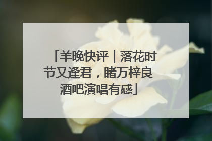 羊晚快评｜落花时节又逢君，睹万梓良酒吧演唱有感