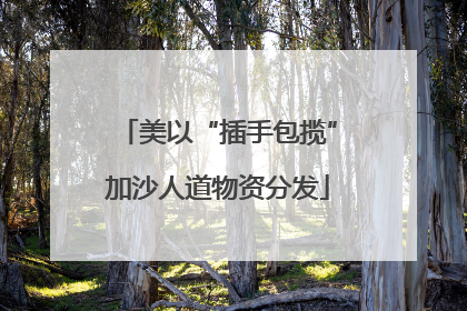 美以“插手包揽”加沙人道物资分发