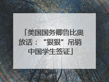 美国国务卿鲁比奥放话：“狠狠”吊销中国学生签证