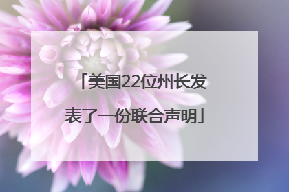 美国22位州长发表了一份联合声明
