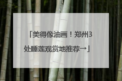 美得像油画！郑州3处睡莲观赏地推荐→