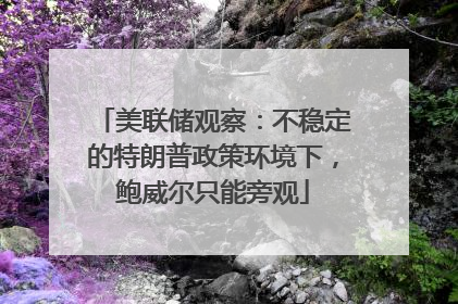美联储观察：不稳定的特朗普政策环境下，鲍威尔只能旁观