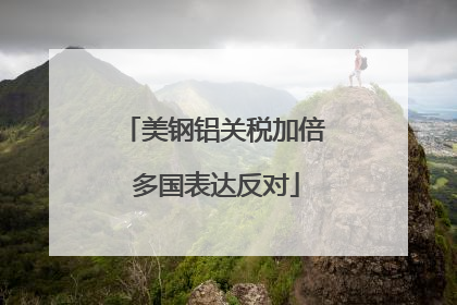 美钢铝关税加倍 多国表达反对