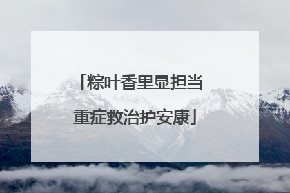 粽叶香里显担当 重症救治护安康