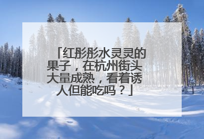红彤彤水灵灵的果子，在杭州街头大量成熟，看着诱人但能吃吗？