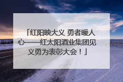 红阳映大义 勇者暖人心——红太阳酒业集团见义勇为表彰大会！