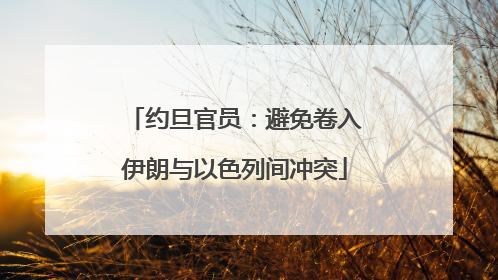 约旦官员：避免卷入伊朗与以色列间冲突