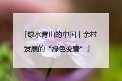 绿水青山的中国丨余村发展的“绿色变奏”