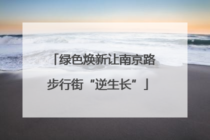 绿色焕新让南京路步行街“逆生长”