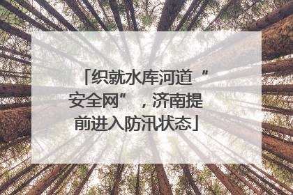 织就水库河道“安全网”，济南提前进入防汛状态