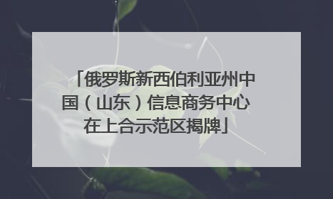 俄罗斯新西伯利亚州中国（山东）信息商务中心在上合示范区揭牌