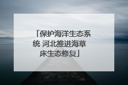 保护海洋生态系统 河北推进海草床生态修复