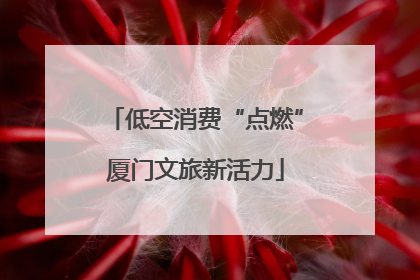 低空消费“点燃”厦门文旅新活力