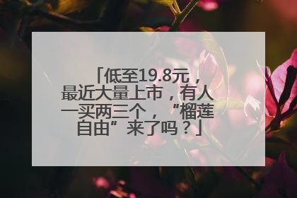 低至19.8元，最近大量上市，有人一买两三个，“榴莲自由”来了吗？