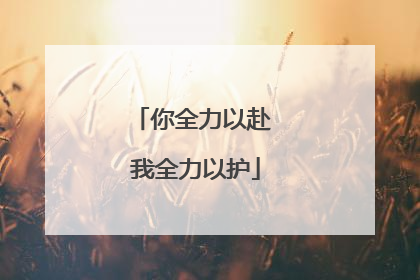 你全力以赴 我全力以护