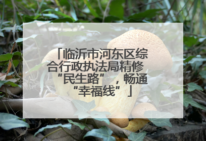 临沂市河东区综合行政执法局精修“民生路”，畅通“幸福线”