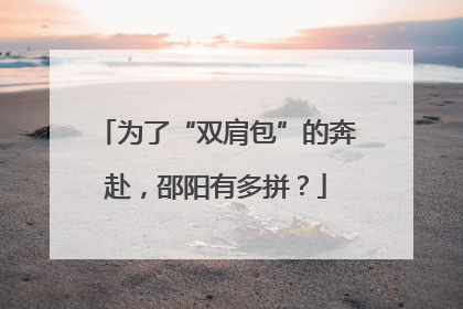 为了“双肩包”的奔赴，邵阳有多拼？