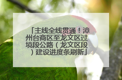 主线全线贯通！漳州台商区至龙文区过境段公路（龙文区段）建设进度条刷新