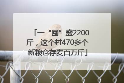 一“囤”盛2200斤，这个村470多个新粮仓存麦百万斤