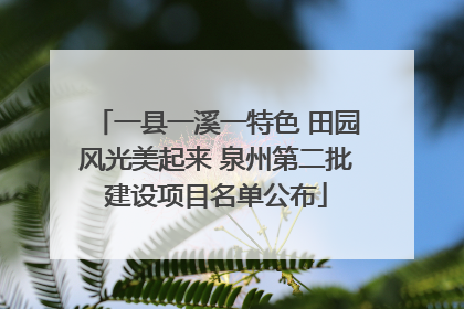 一县一溪一特色 田园风光美起来 泉州第二批建设项目名单公布