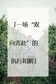 一场“双向奔赴”的执行和解