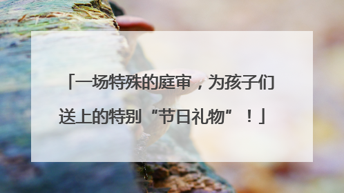 一场特殊的庭审，为孩子们送上的特别“节日礼物”！