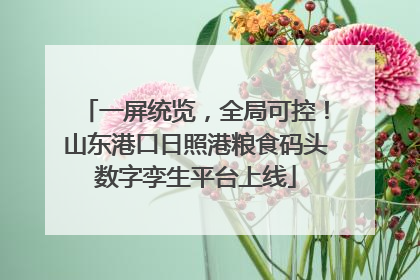 一屏统览，全局可控！山东港口日照港粮食码头数字孪生平台上线