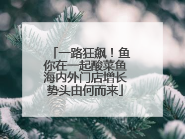 一路狂飙！鱼你在一起酸菜鱼海内外门店增长势头由何而来