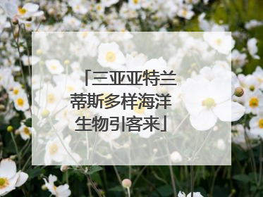 三亚亚特兰蒂斯多样海洋生物引客来