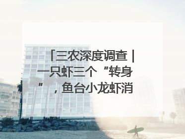 三农深度调查｜一只虾三个“转身”，鱼台小龙虾消费季升级