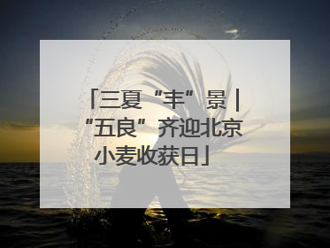 三夏“丰”景｜“五良”齐迎北京小麦收获日