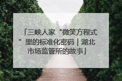 三峡人家“微笑方程式”里的标准化密码｜湖北市场监管所的故事