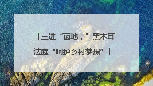 三进“菌地，”黑木耳法庭“呵护乡村梦想”