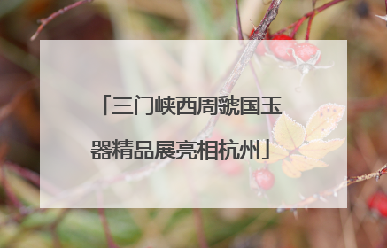 三门峡西周虢国玉器精品展亮相杭州