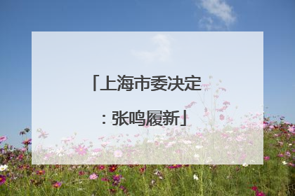 上海市委决定：张鸣履新