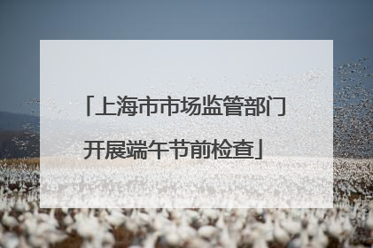 上海市市场监管部门开展端午节前检查