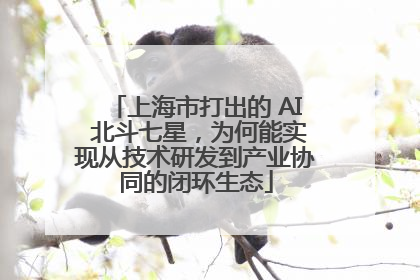 上海市打出的 AI 北斗七星，为何能实现从技术研发到产业协同的闭环生态