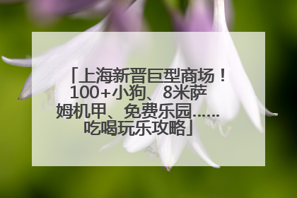 上海新晋巨型商场！100+小狗、8米萨姆机甲、免费乐园……吃喝玩乐攻略