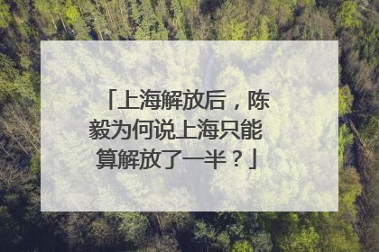 上海解放后，陈毅为何说上海只能算解放了一半？