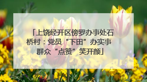 上饶经开区傍罗办事处石桥村：党员“下田”办实事 群众“点赞”笑开颜