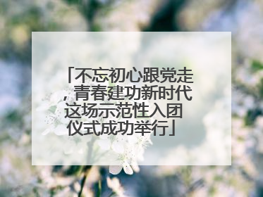 不忘初心跟党走，青春建功新时代 这场示范性入团仪式成功举行