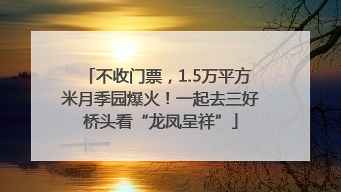 不收门票，1.5万平方米月季园爆火！一起去三好桥头看“龙凤呈祥”
