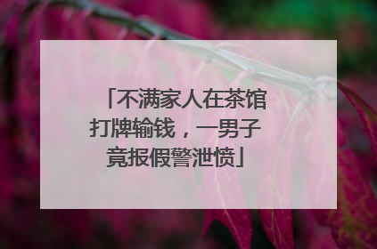 不满家人在茶馆打牌输钱，一男子竟报假警泄愤
