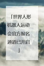 世界人形机器人运动会官方报名通道已开启
