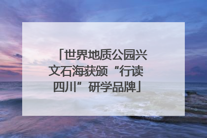 世界地质公园兴文石海获颁“行读四川”研学品牌