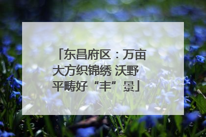 东昌府区：万亩大方织锦绣 沃野平畴好“丰”景