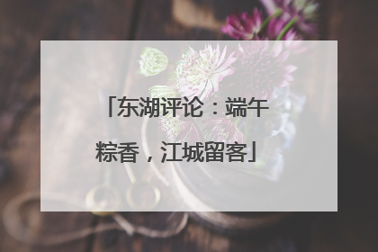 东湖评论：端午粽香，江城留客